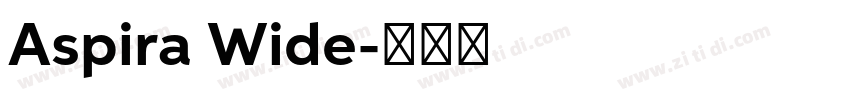 Aspira Wide字体转换